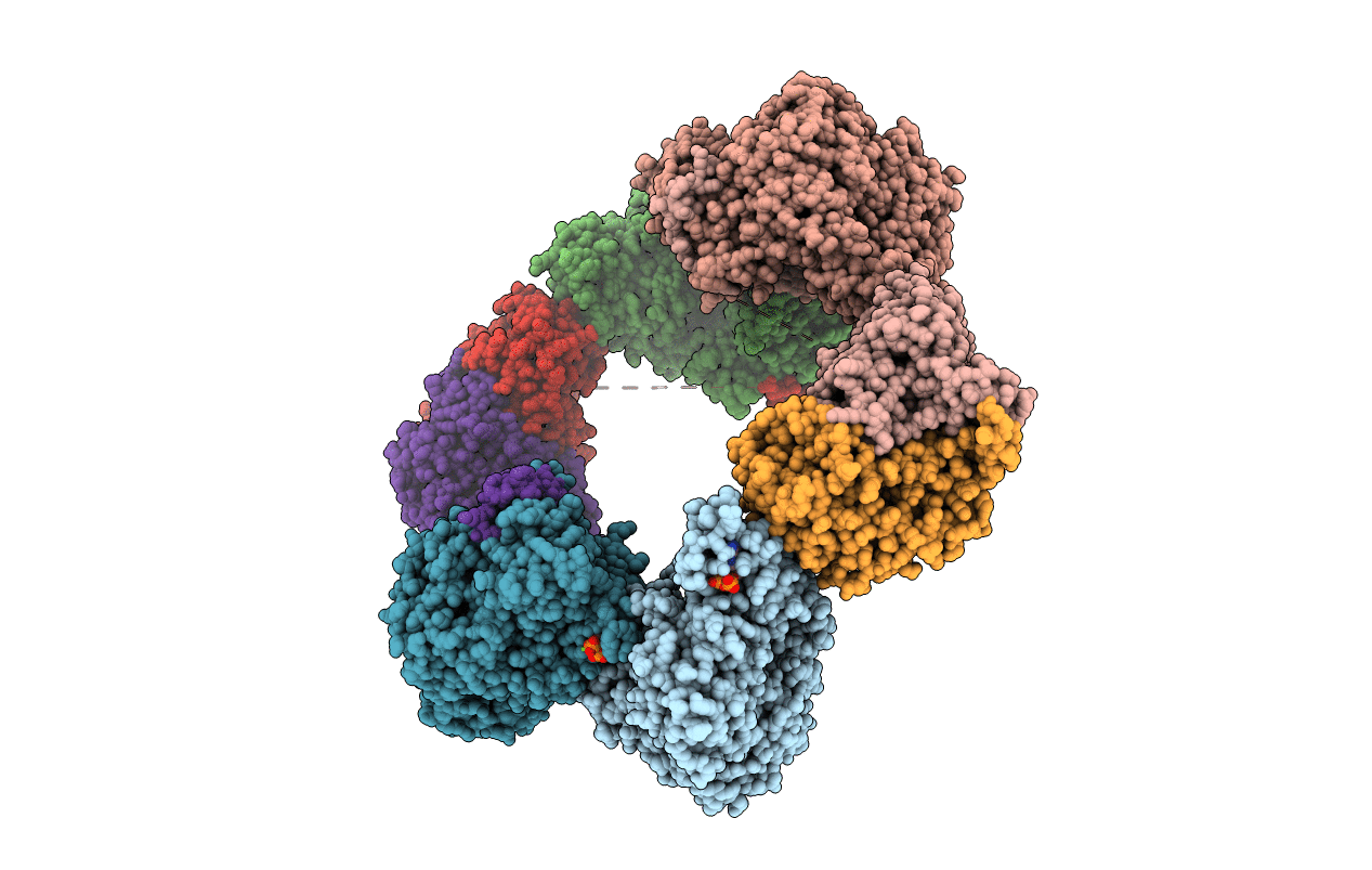 4ERM image