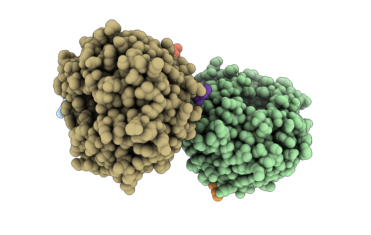 4ERQ image
