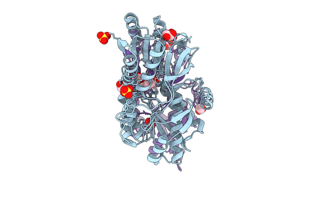 4EVQ image