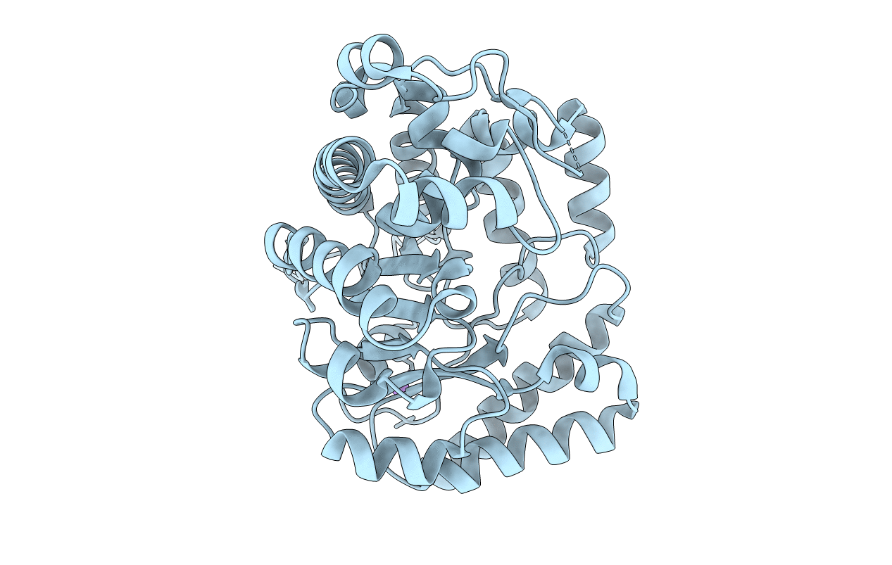 4EXQ image