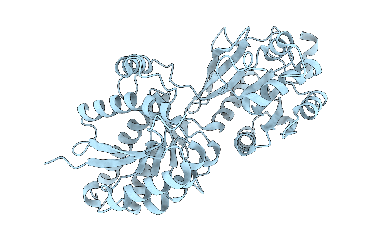 4F11 image