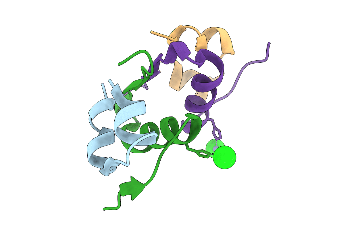 4F1B image