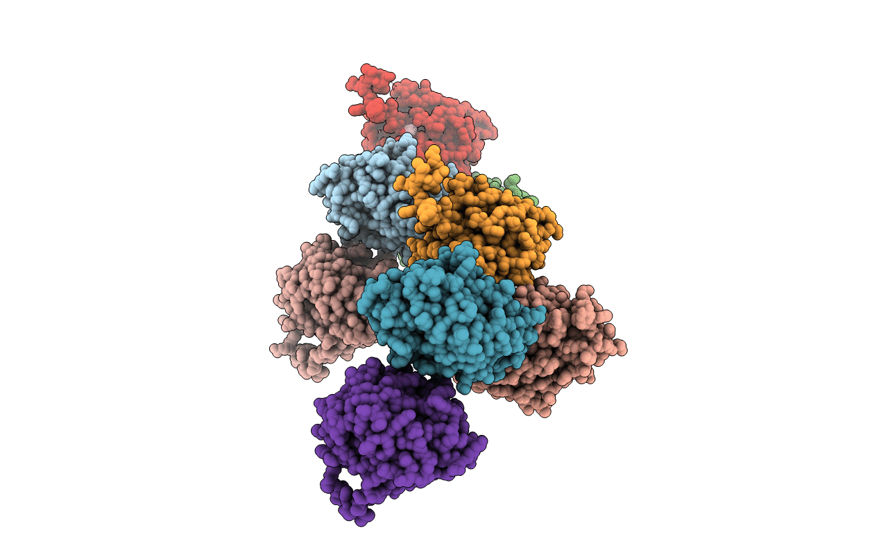 4F21 image