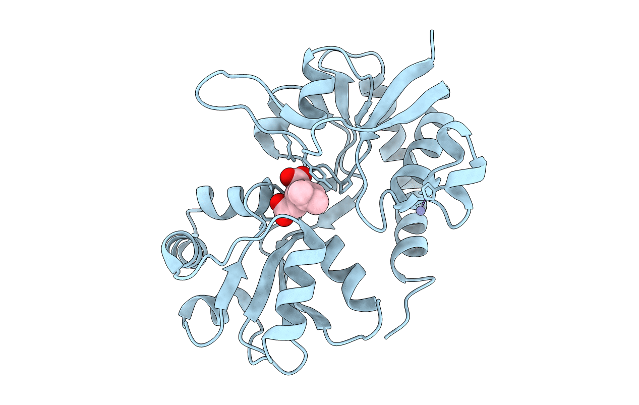 4F22 image