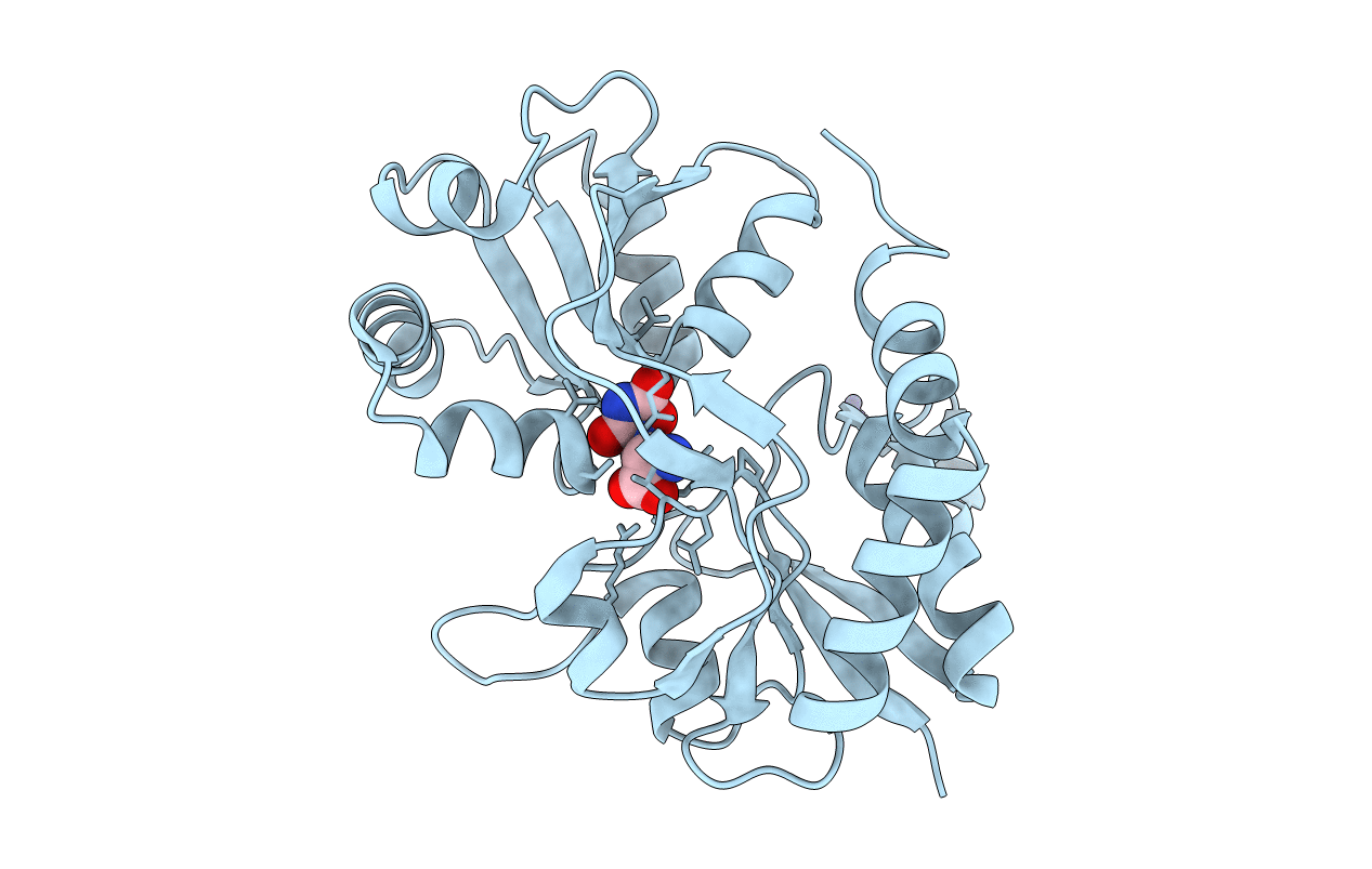 4F29 image