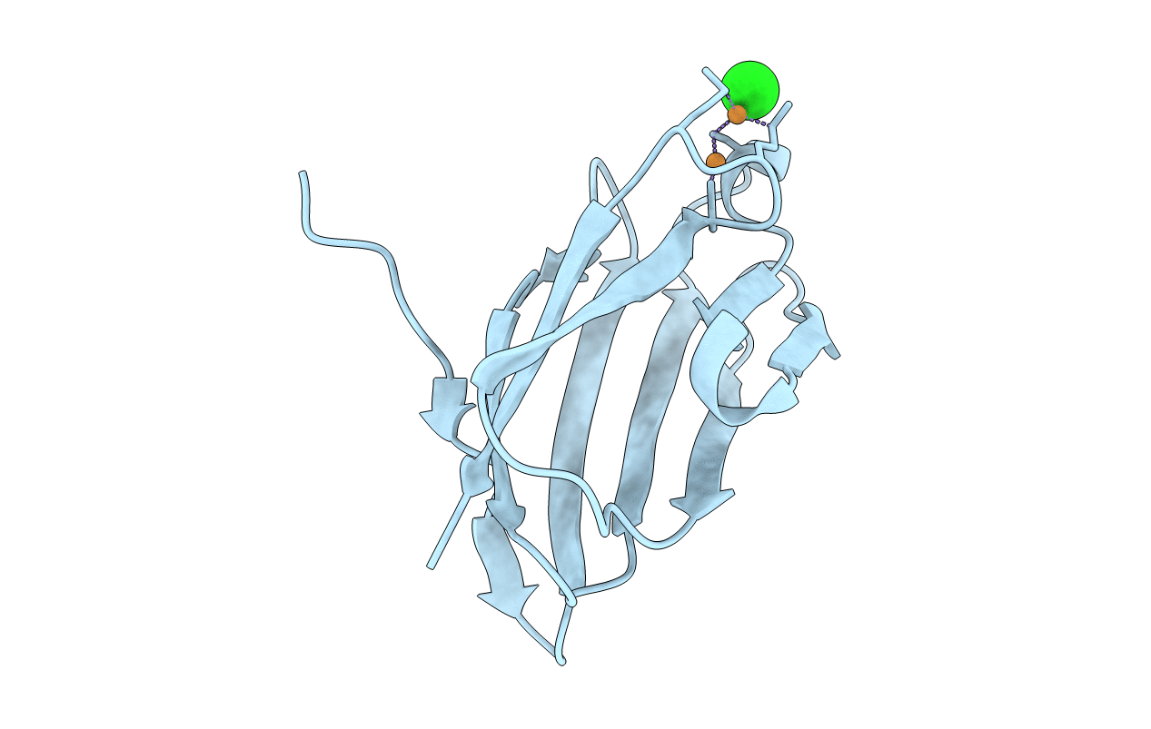 4F2F image