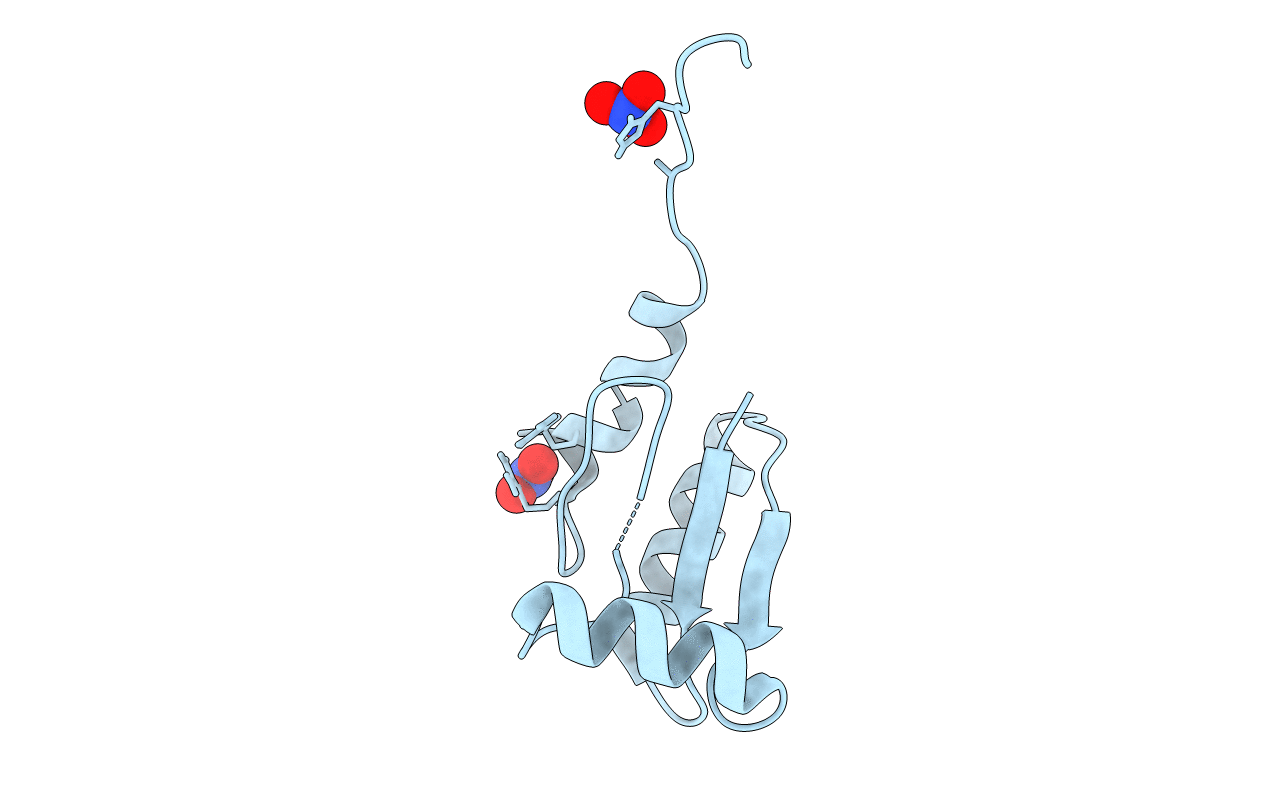 4F2I image