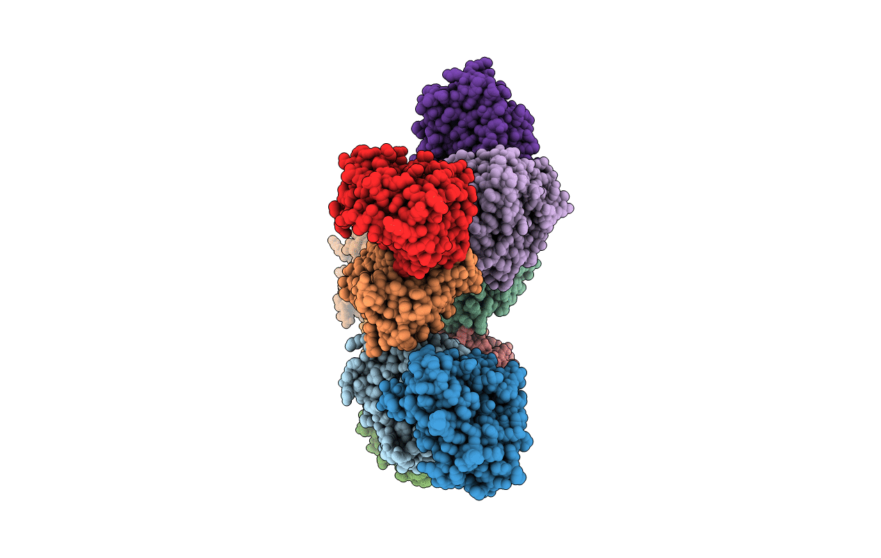 4F2N image