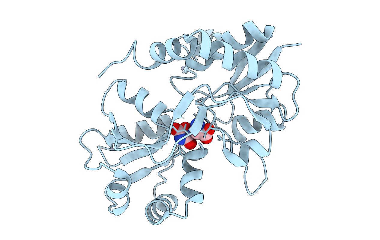 4F2Q image
