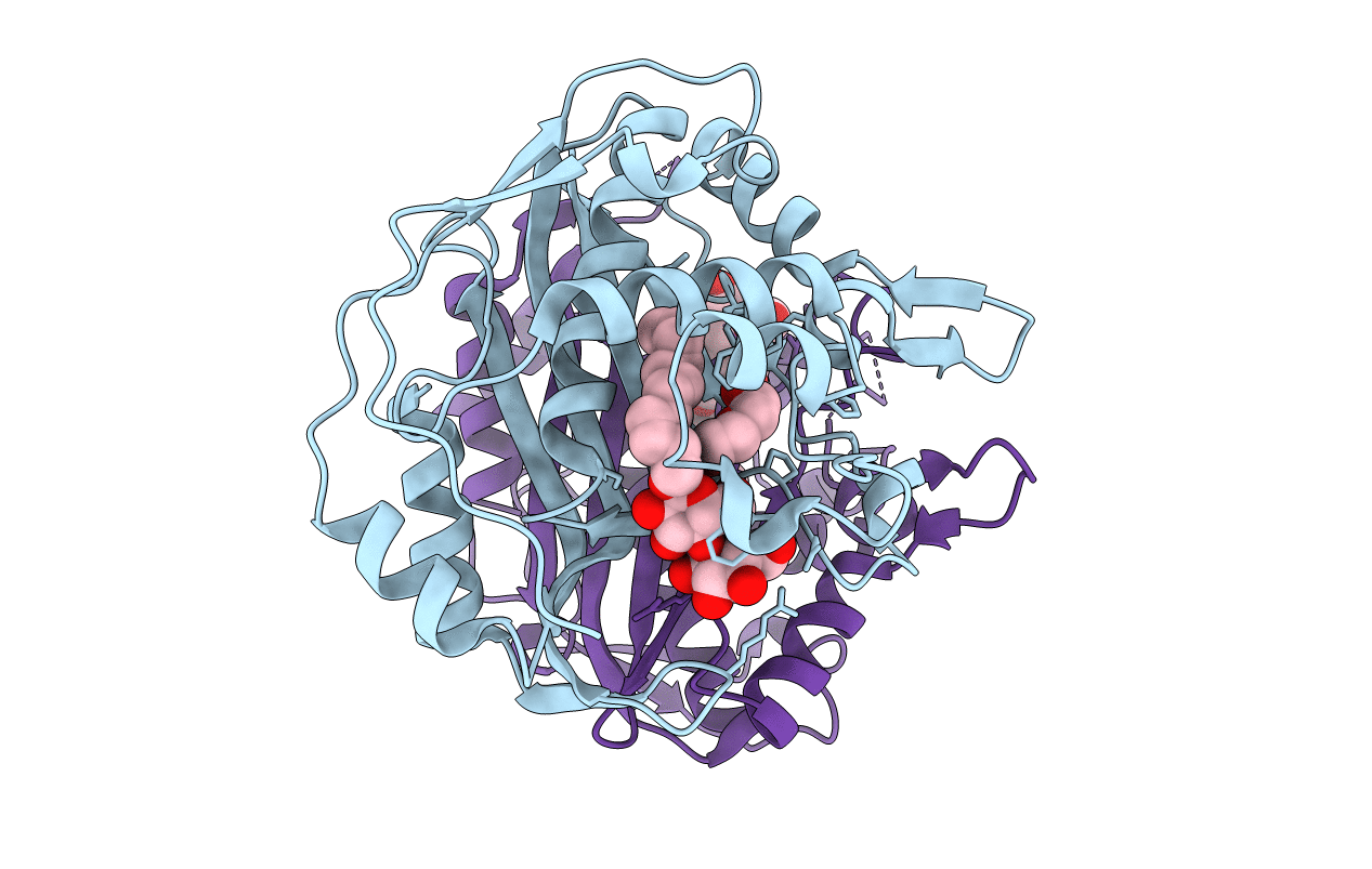 4F2V image