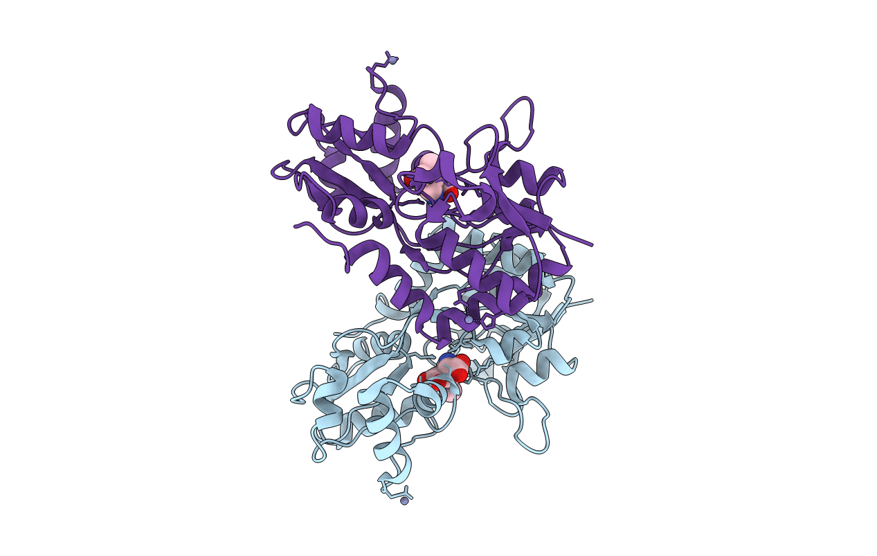 4F31 image