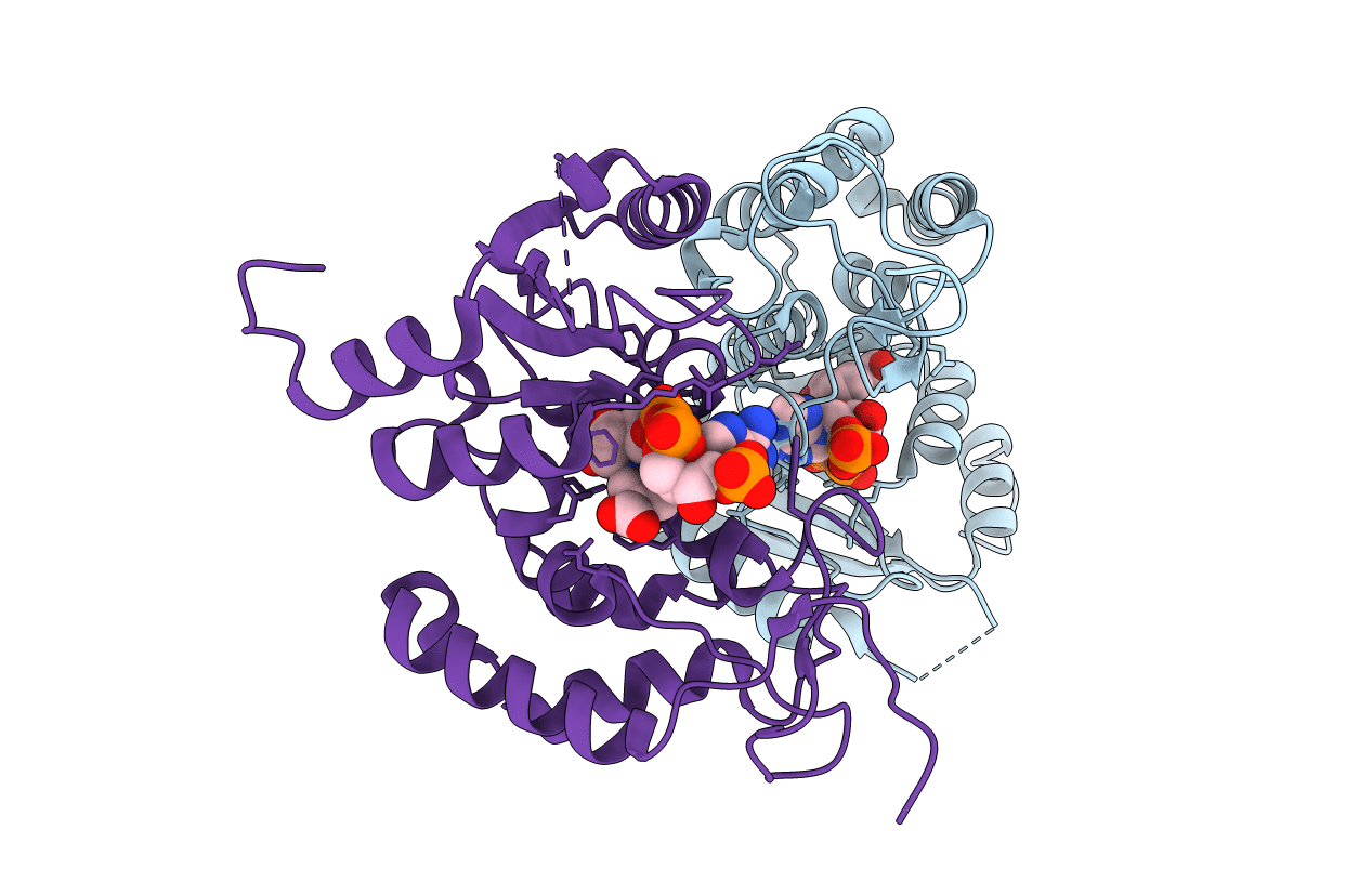 4F45 image