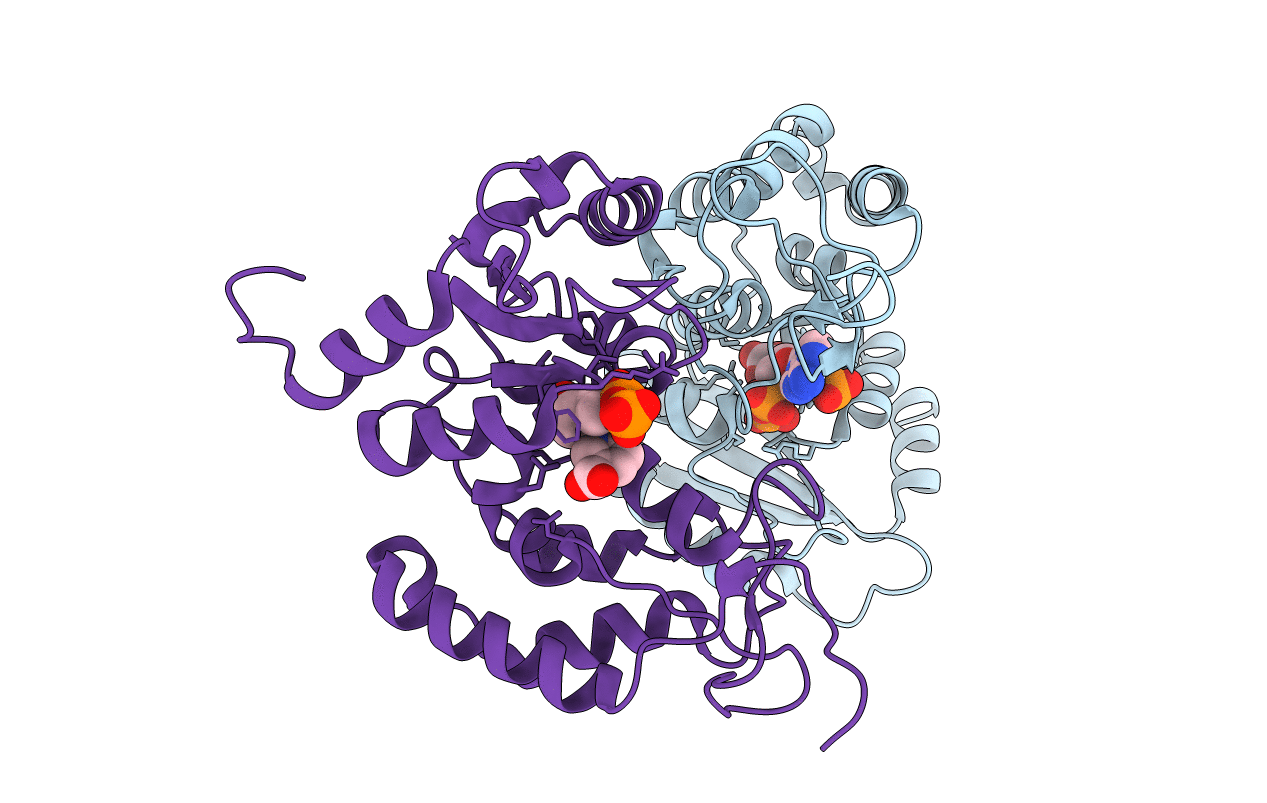 4F46 image