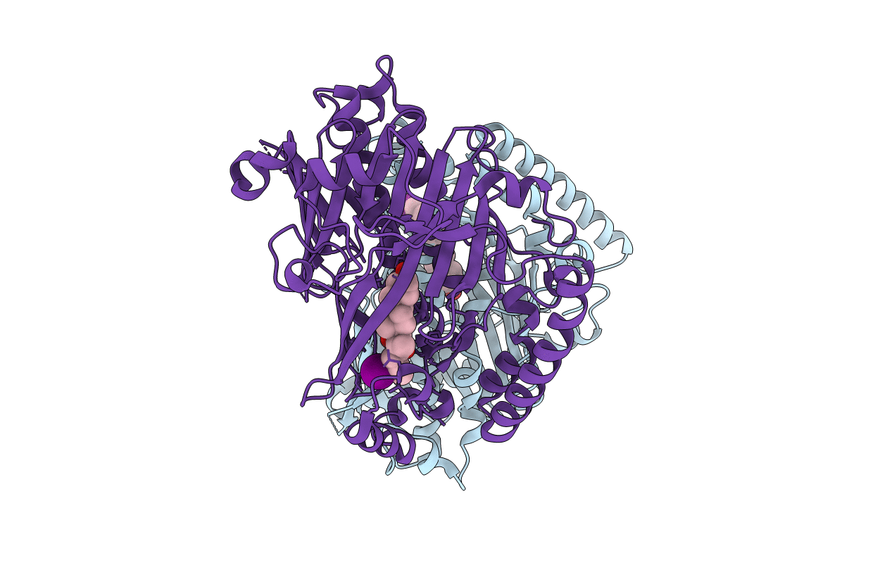4F4B image