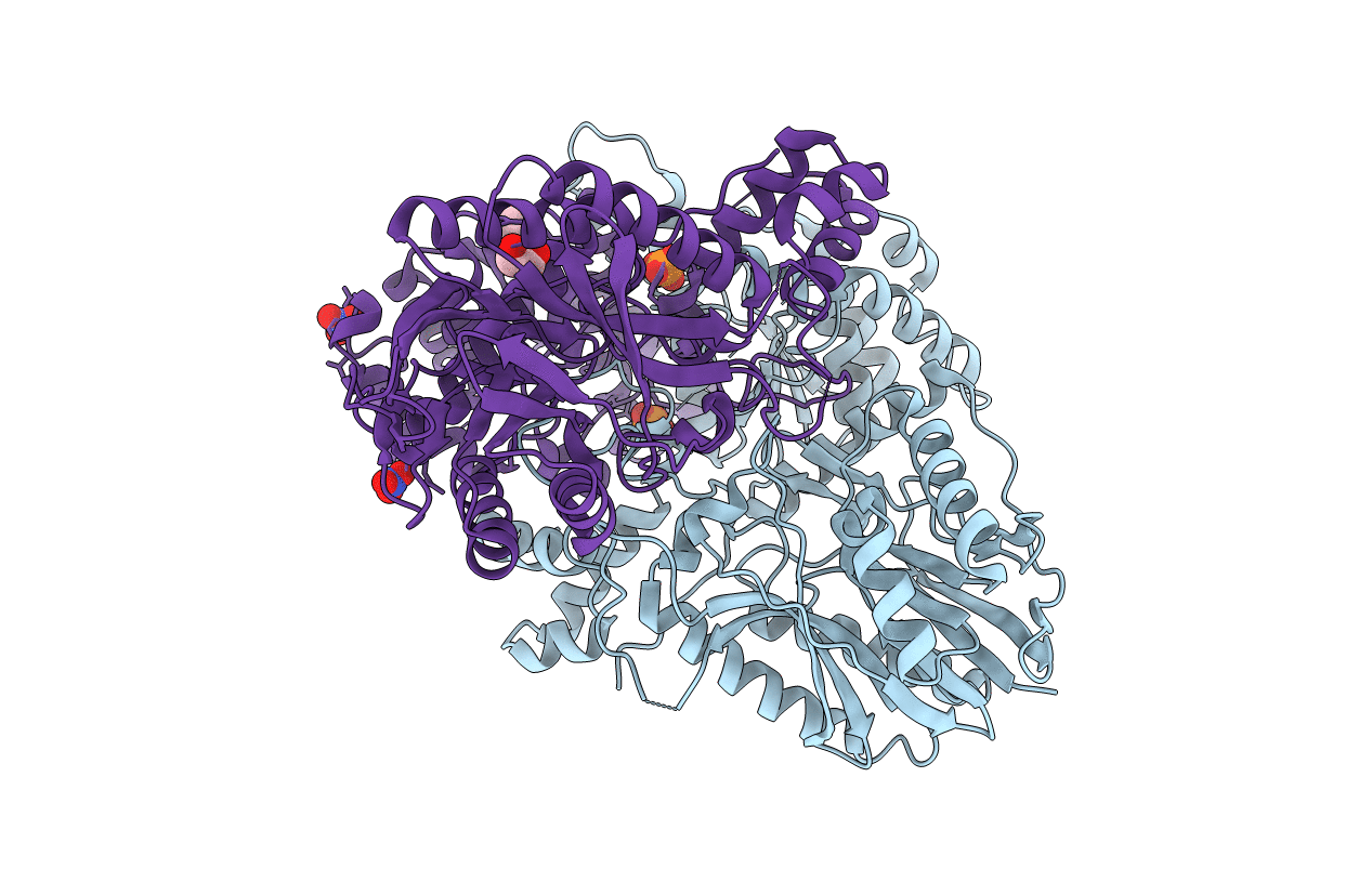 4F4H image