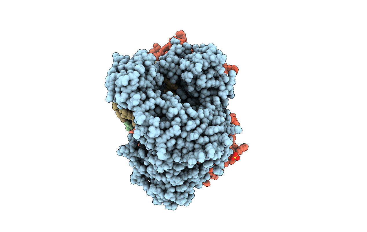 4F4K image
