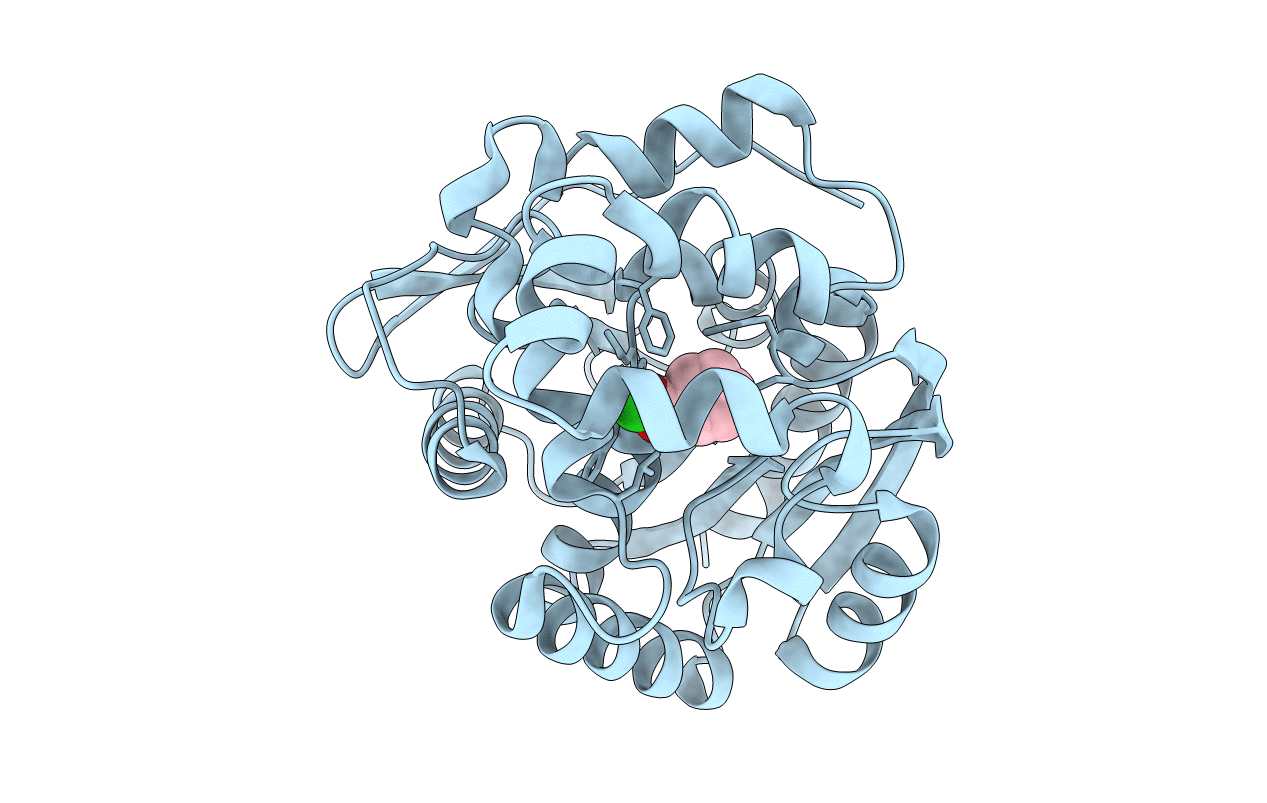 4F5Z image