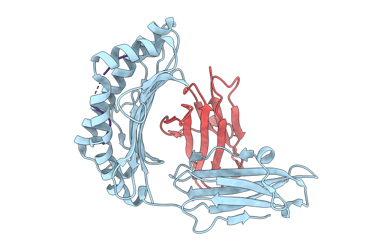 4F7P image