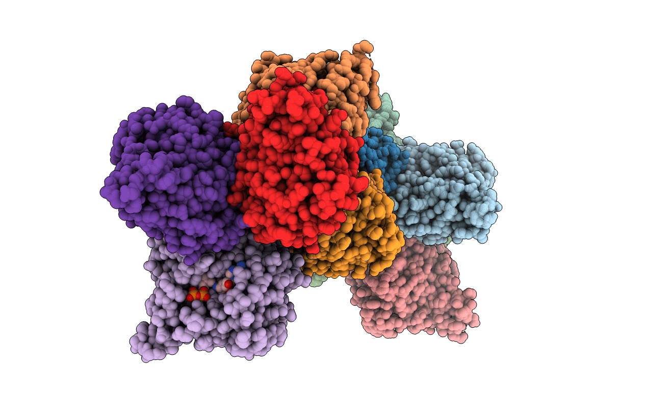 4F86 image