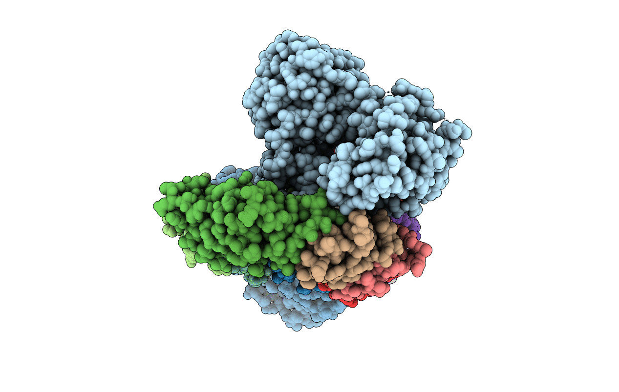 4F88 image