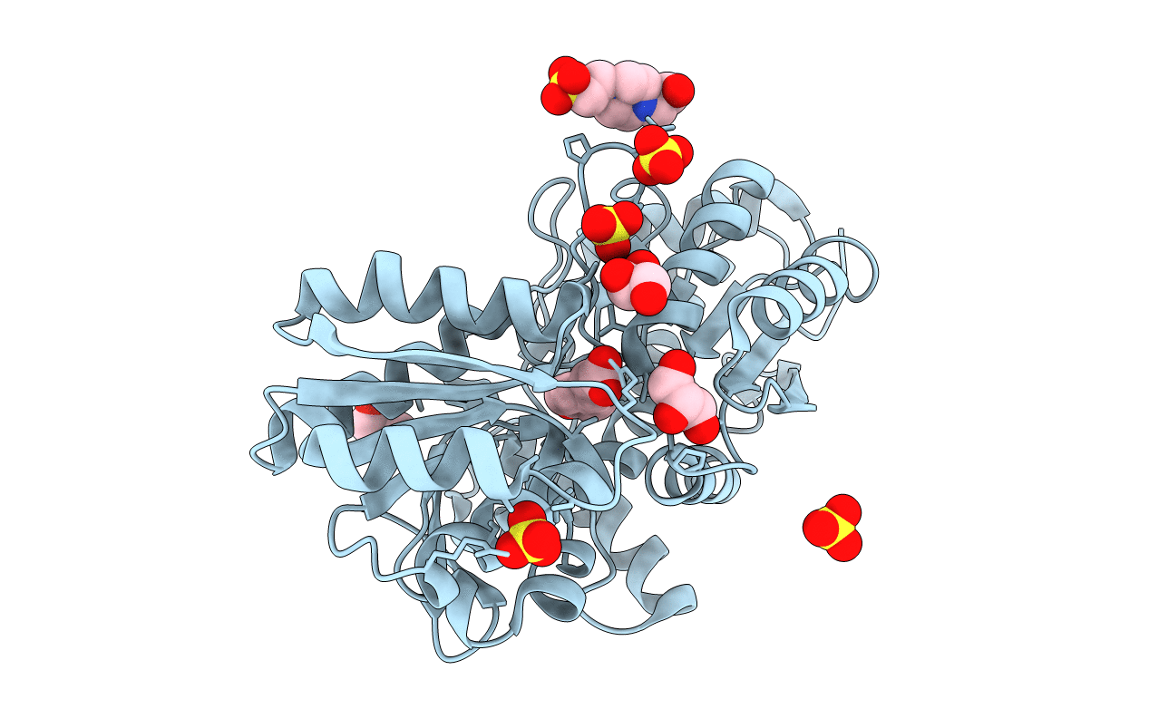 4F8J image