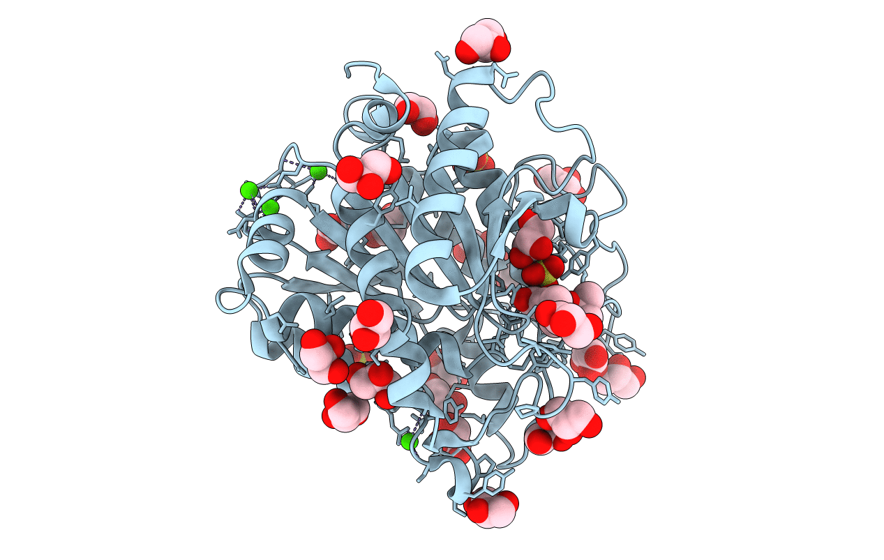 4F8Z image