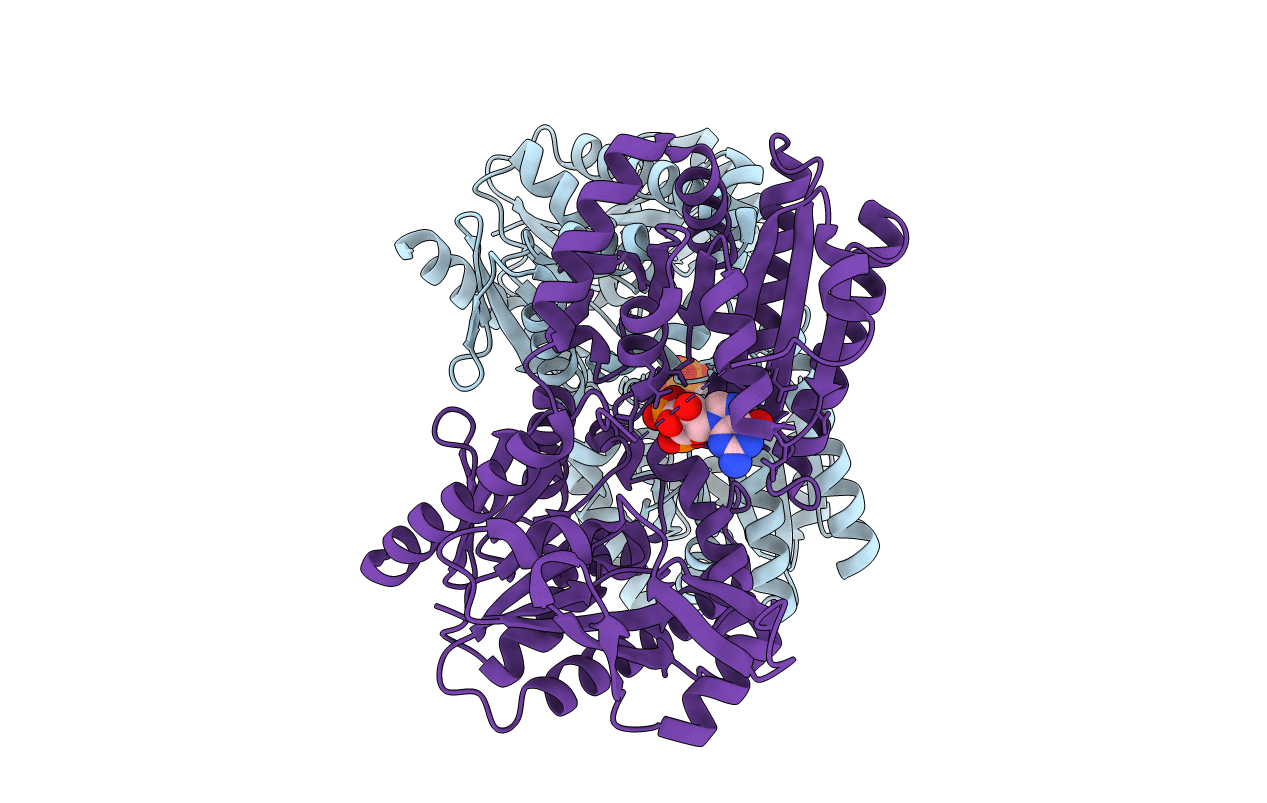 4F96 image