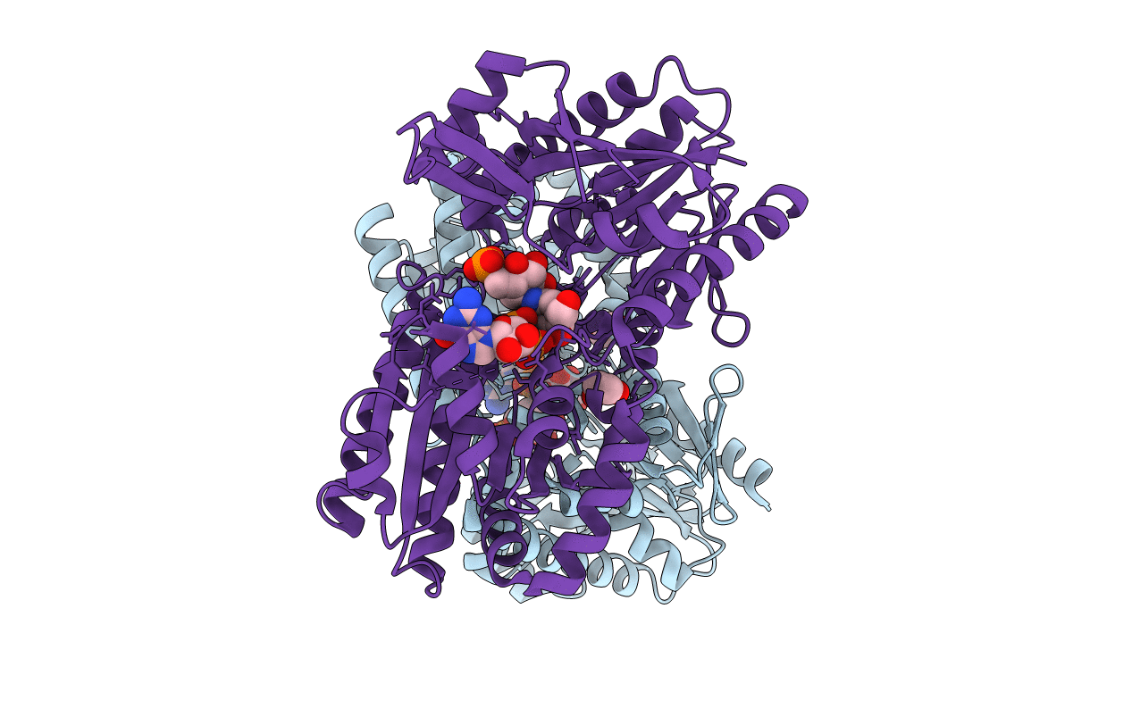 4F97 image