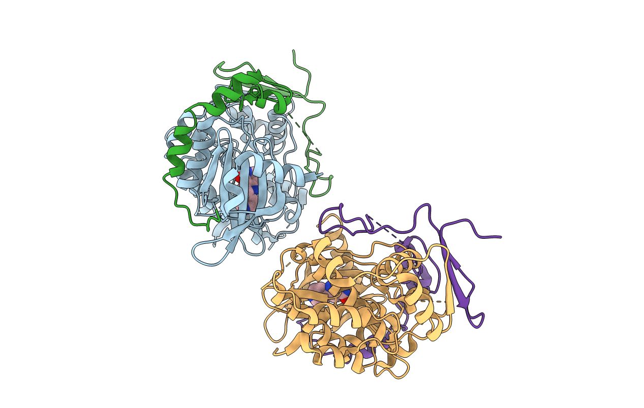 4F9B image