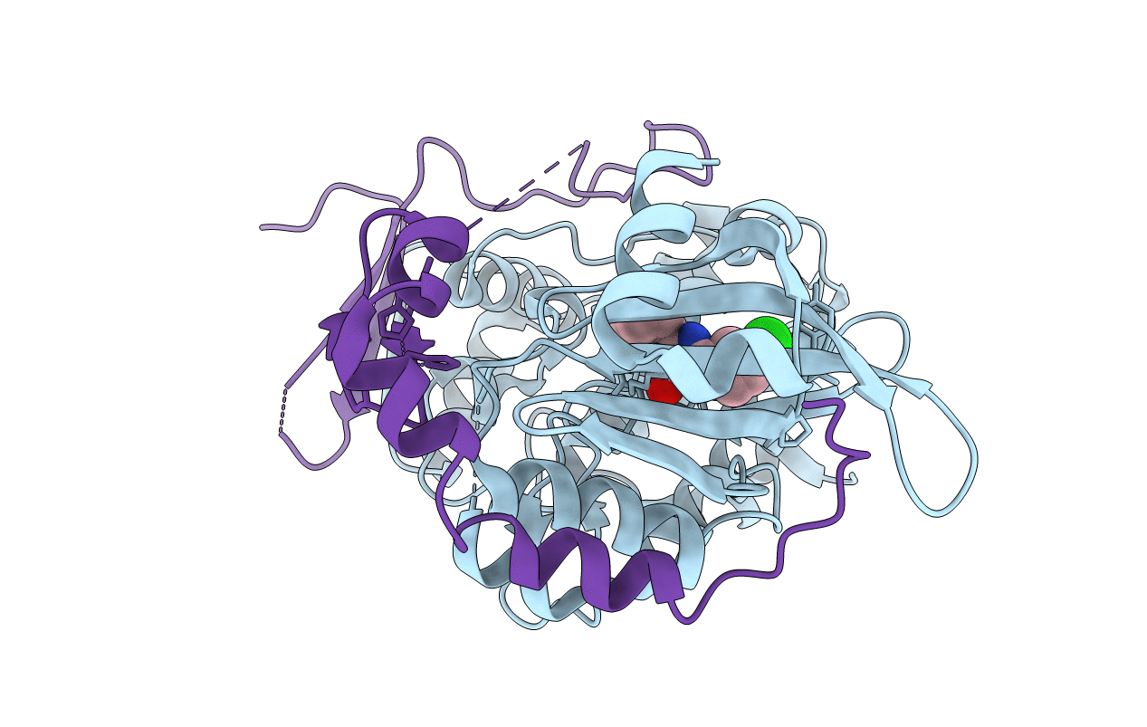 4F9C image