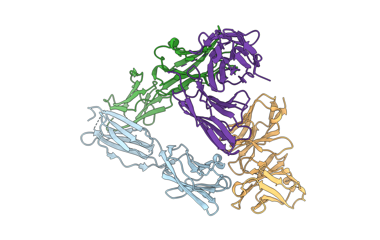 4F9P image