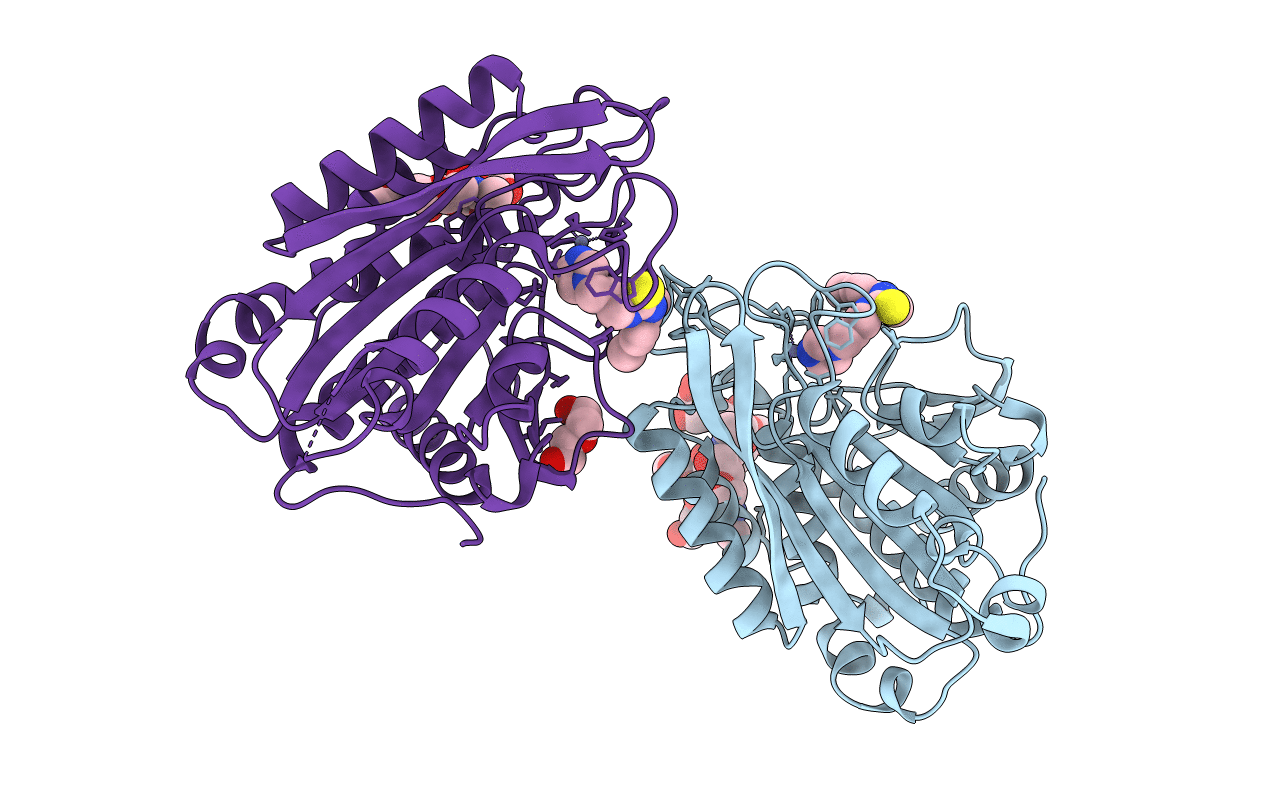 4F9V image
