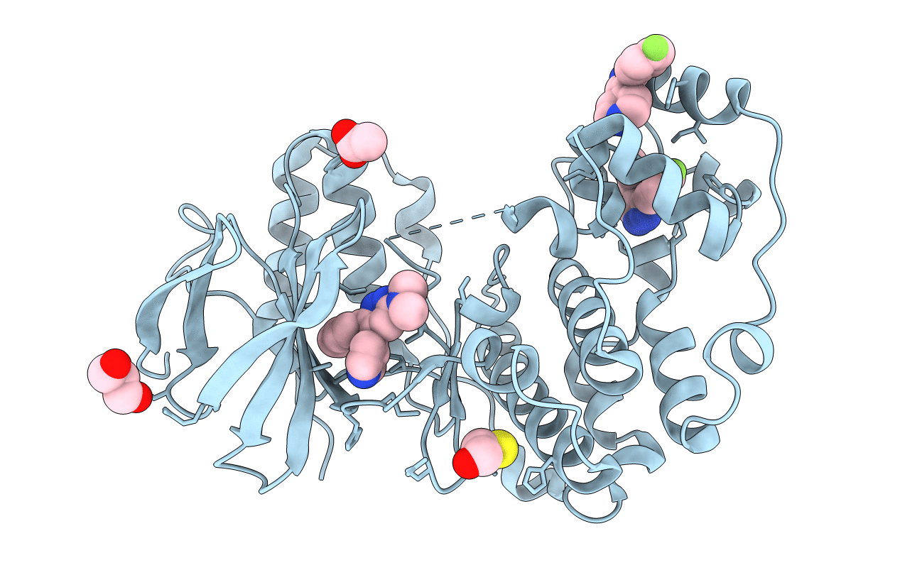 4F9W image