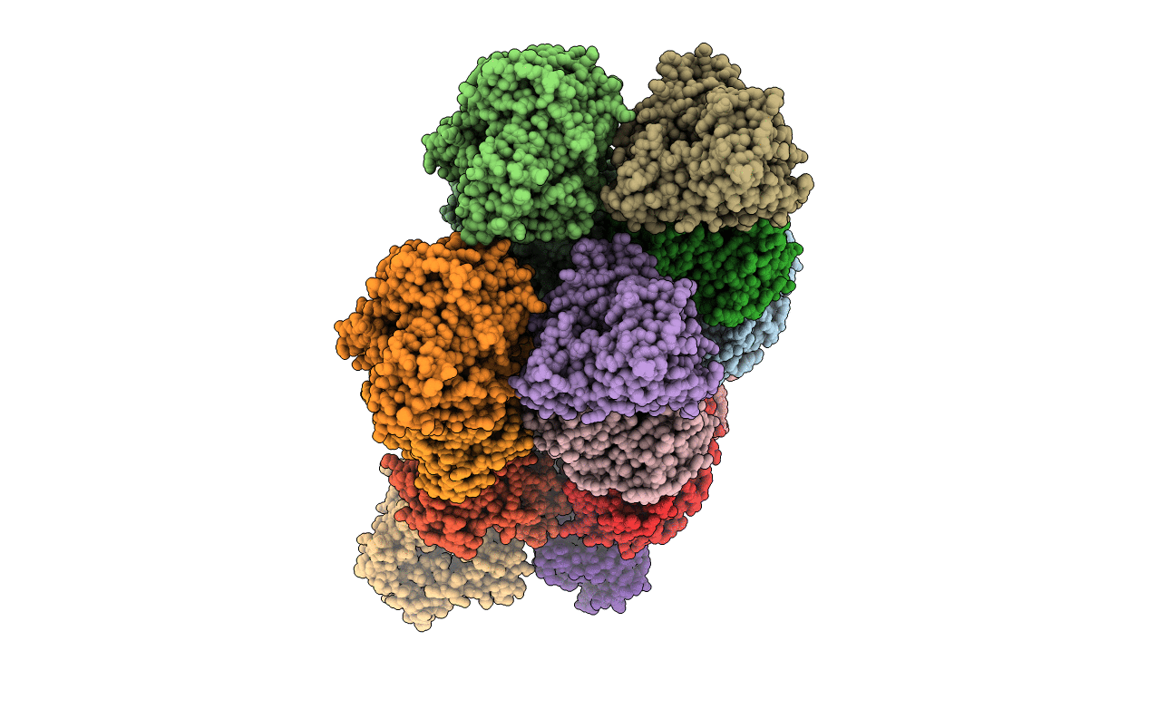 4FBG image