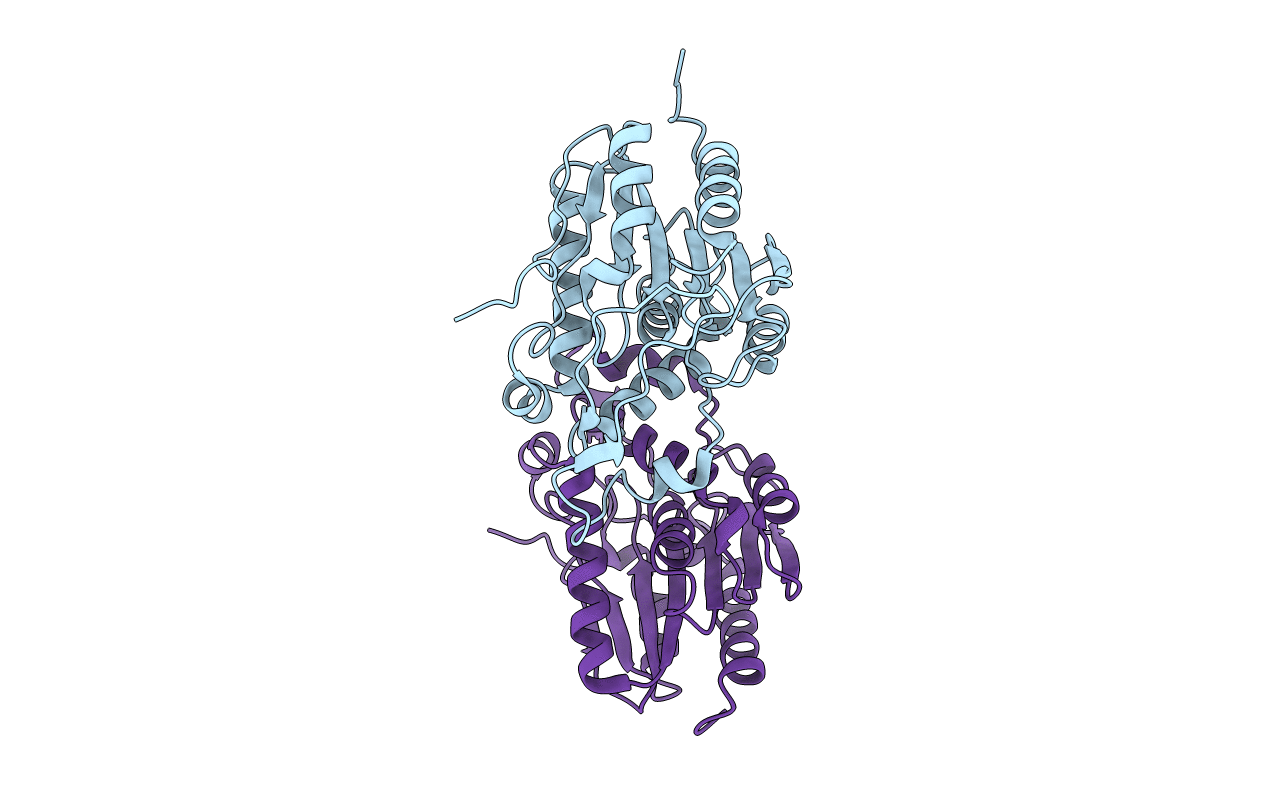 4FBM image