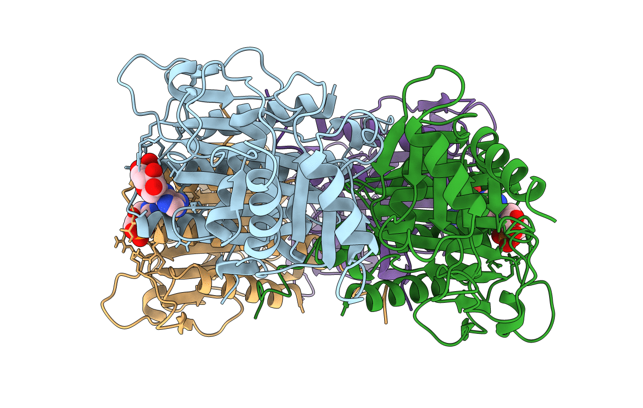 4FBP image