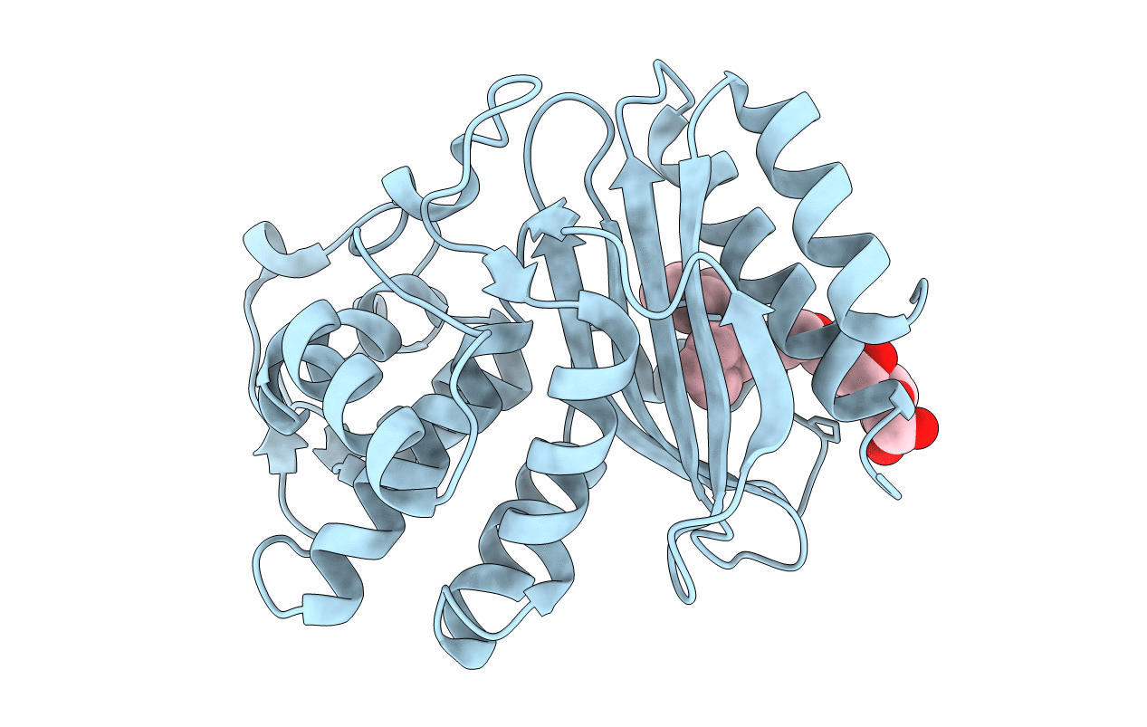 4FD8 image