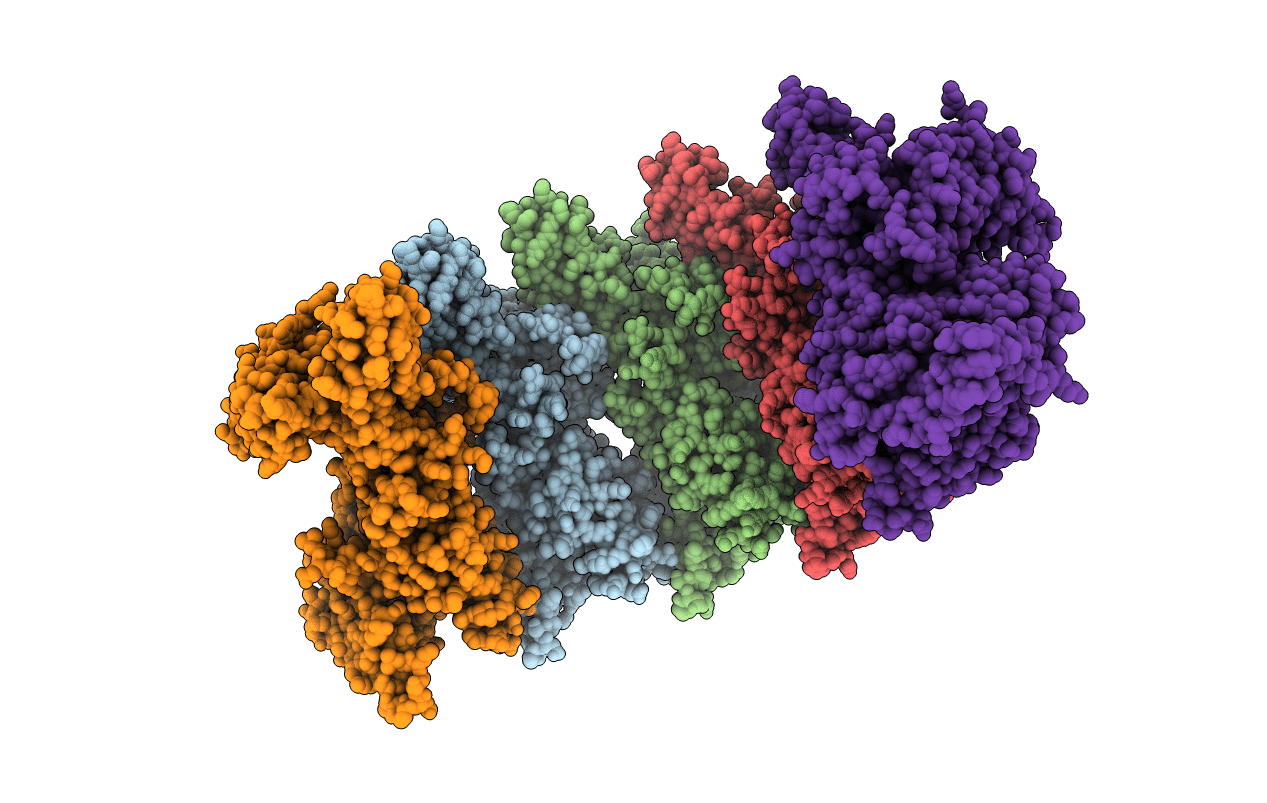 4FDG image