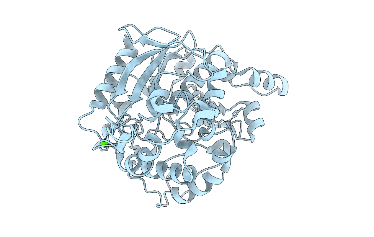 4FDM image