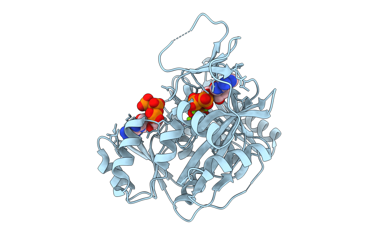 4FFR image
