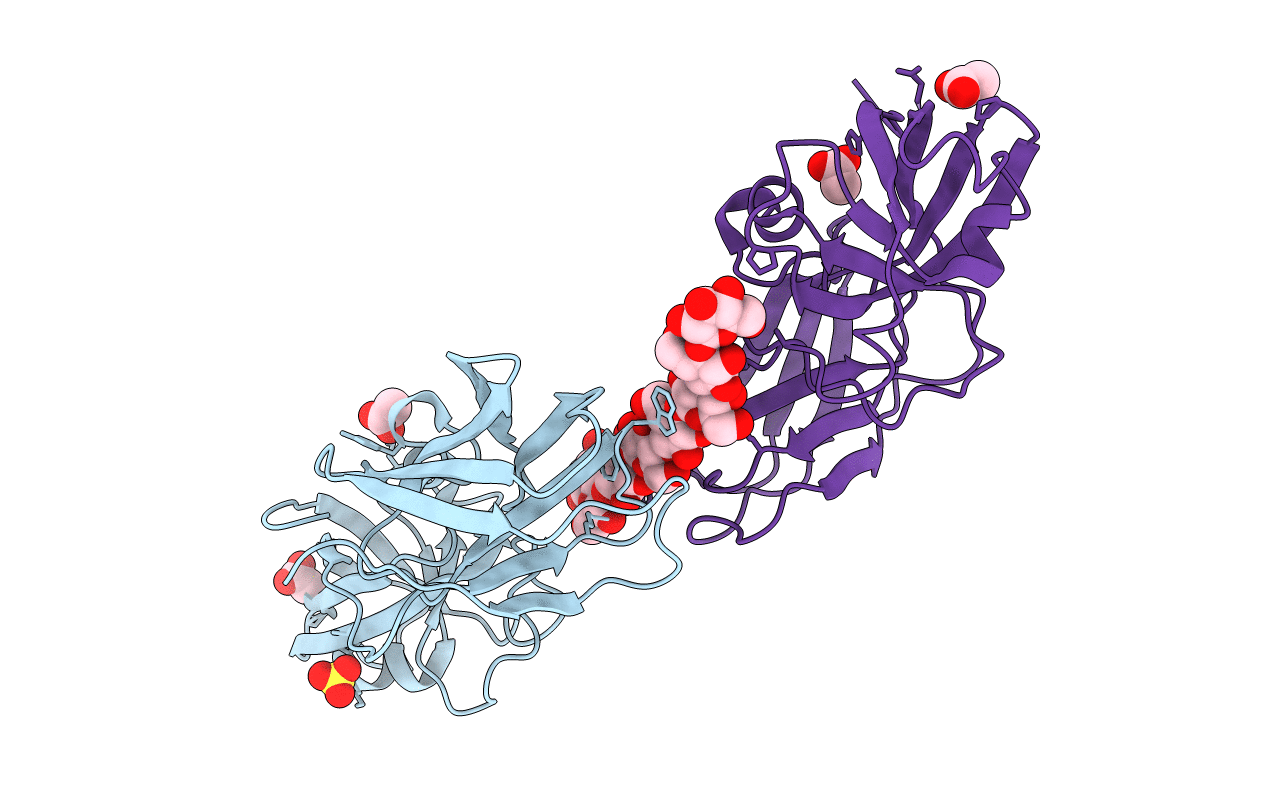 4FFT image