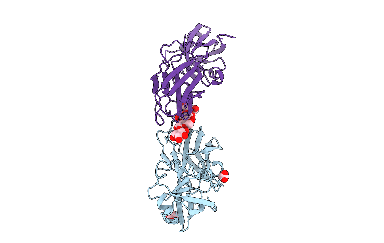 4FG2 image