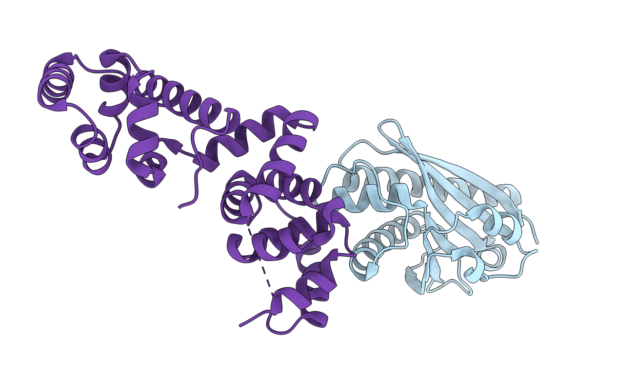 4FHR image