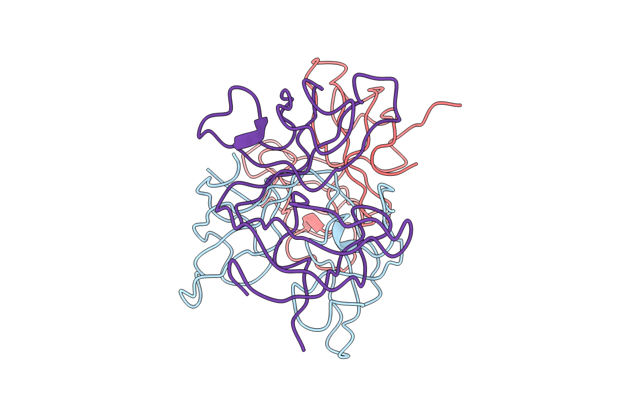 4FIB image