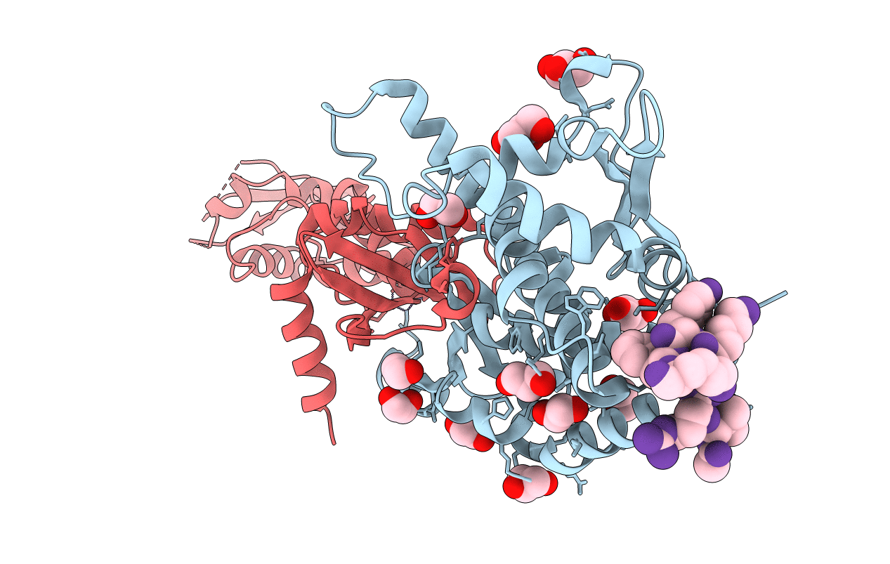 4FMN image