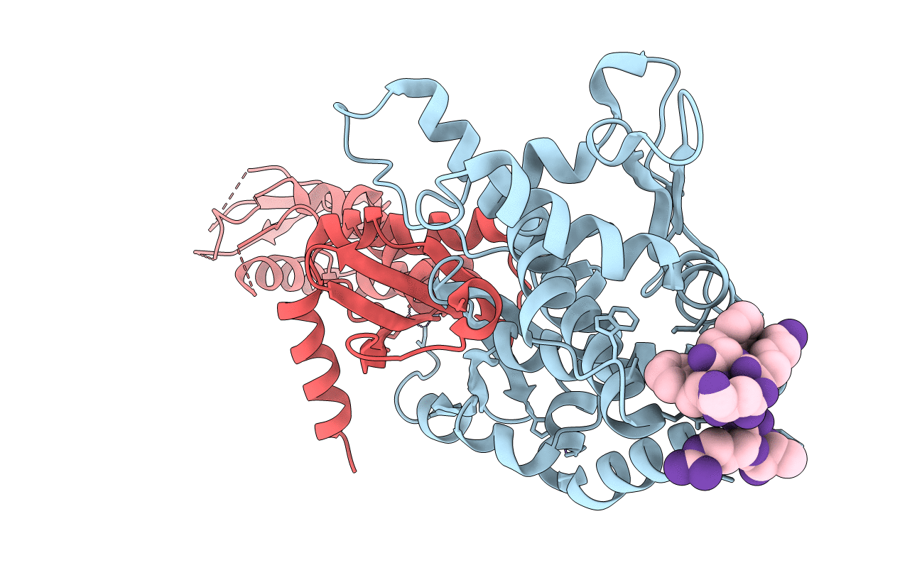 4FMO image