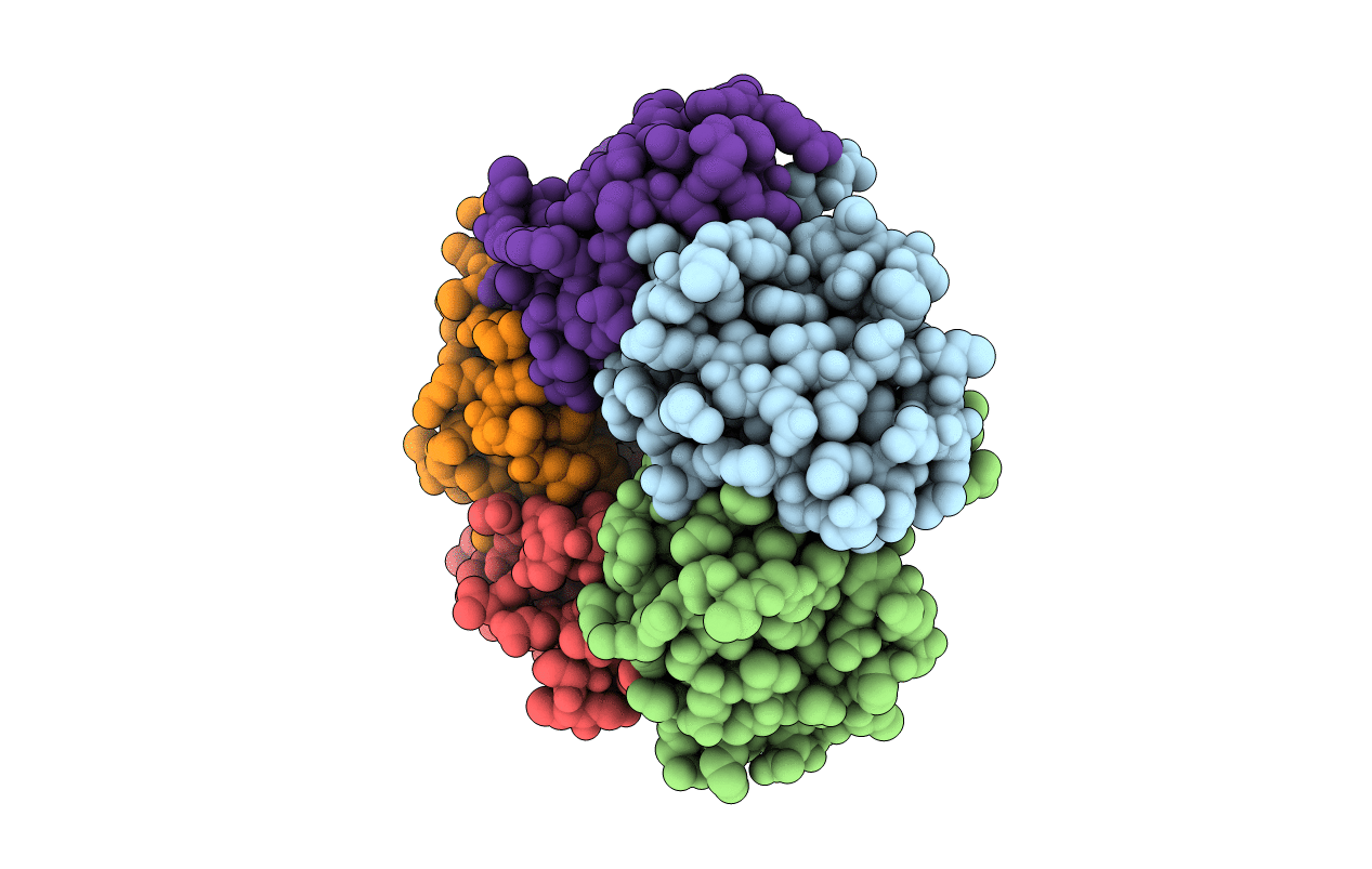 4FP5 image