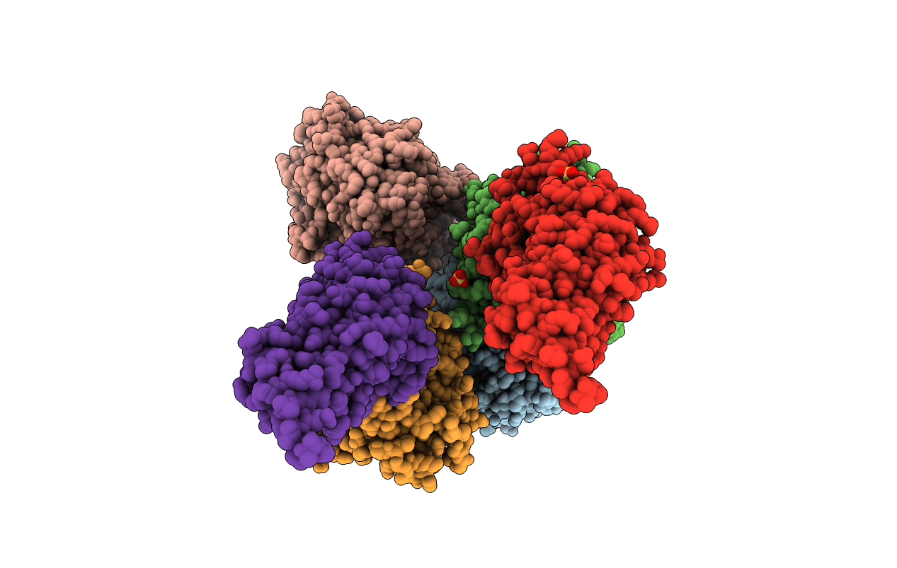 4FP9 image