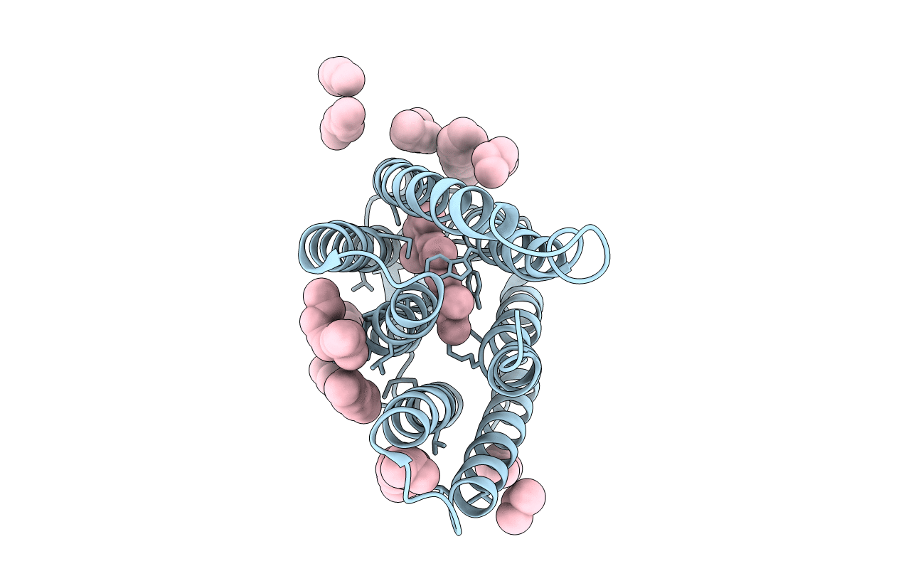 4FPD image