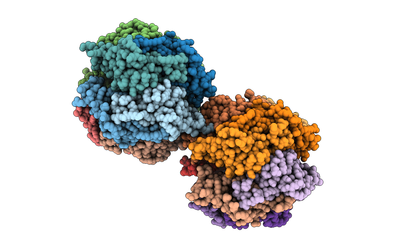 4FPI image